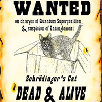 Wanted Dead or Alive: Schrodinger's Cat